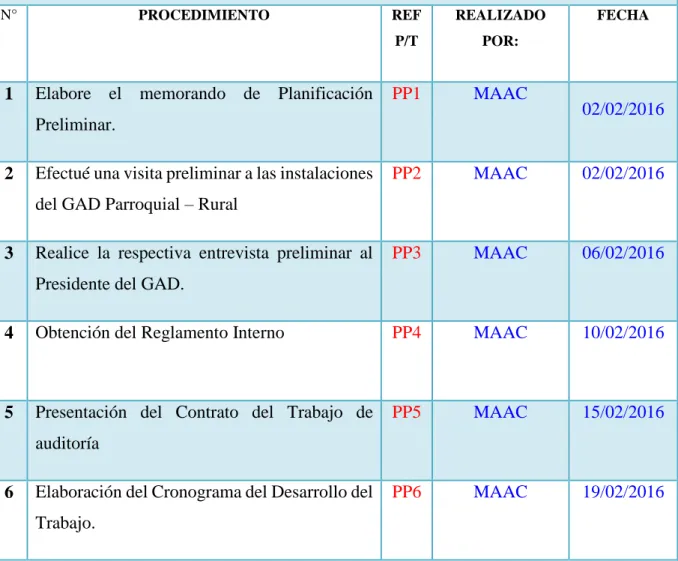 Tabla 7: Programa Planificación Preliminar 