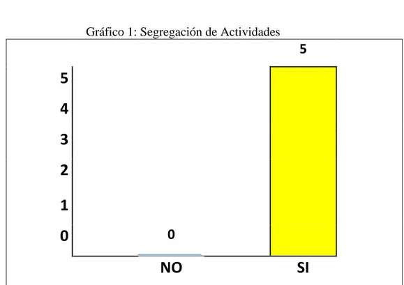 Tabla 4: Segregación de Actividades 