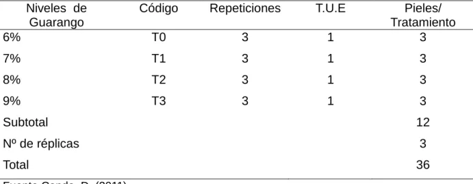 Cuadro 8.   ESQUEMA DEL EXPERIMENTO.  