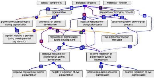 Figura 1: Representaci´ on esquem´ atica de la rama Biological Process de GO con OBO-Edit