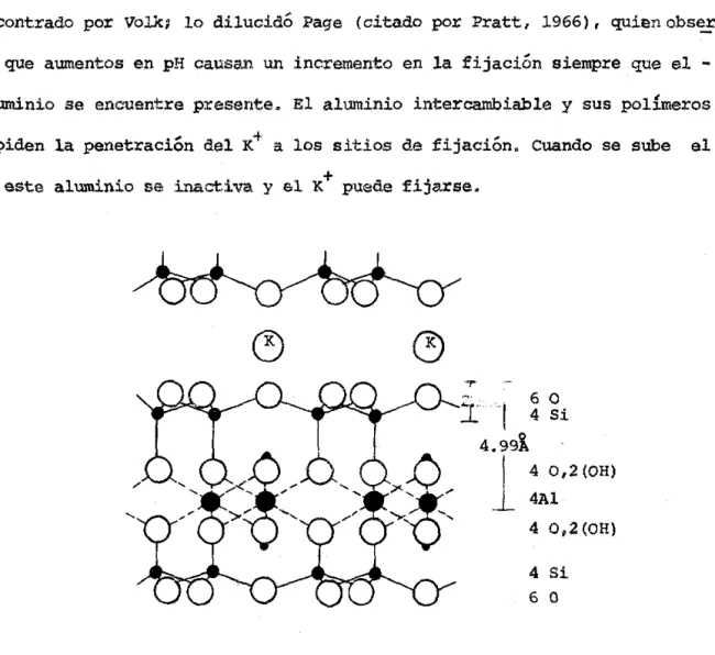 Figura  9.2.- Estructura  de  una  arcilla  2,1  y  distancia  desde  los  centros  octaedrales  y  tetraedrales  a  la  superficie