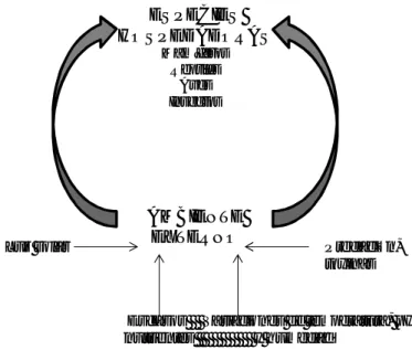 Figura  1.  El  ciclo  de  vida  de  Salmonella  alterna  entre  las  especies  hospedadoras  y  el  ambiente  externo
