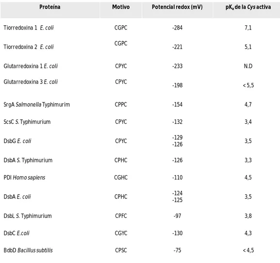 Tabla 1. Potenciales redox y valores de pK a  de algunas proteínas de tipo tiorredoxinas