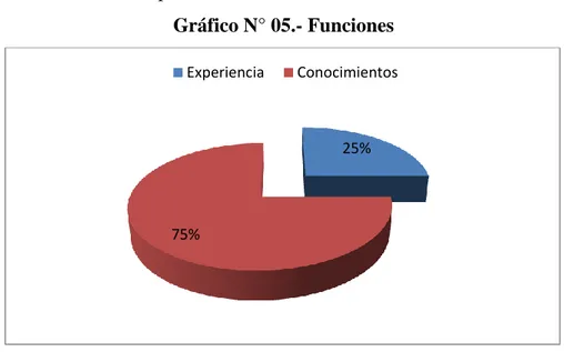 Gráfico N° 05.- Funciones 