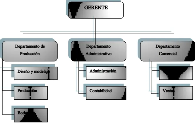 Gráfico Nº 12: Organigrama Estructural 