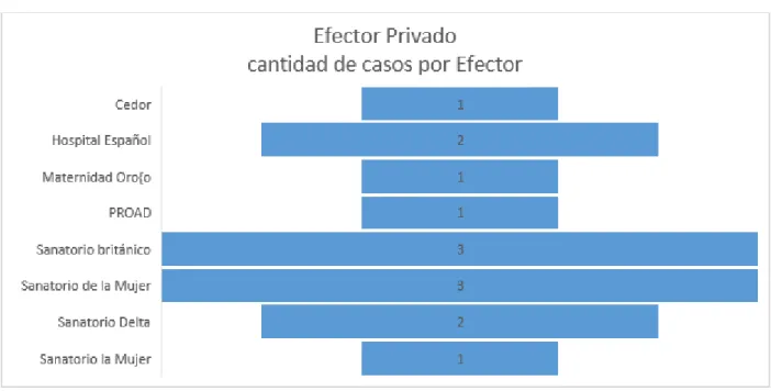 Gráfico Nº 3: 
