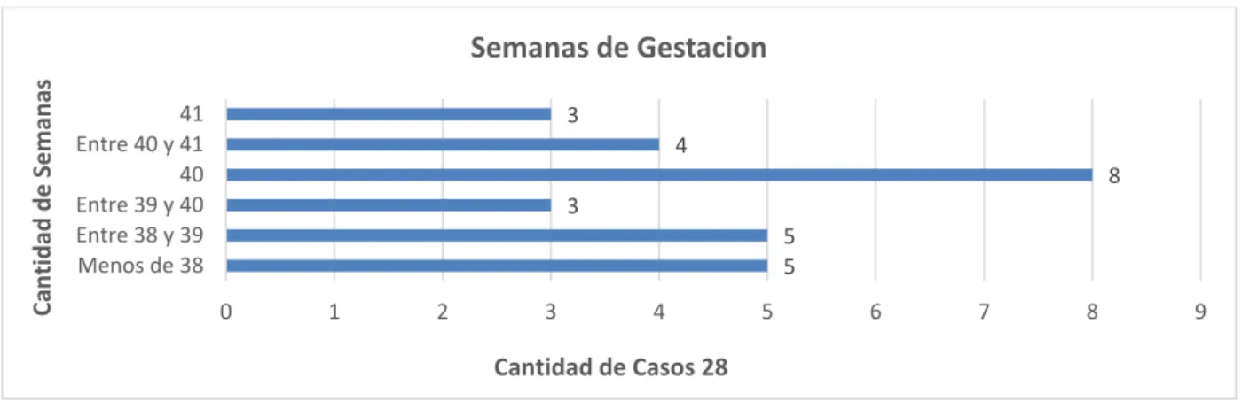 Gráfico Nº6: 
