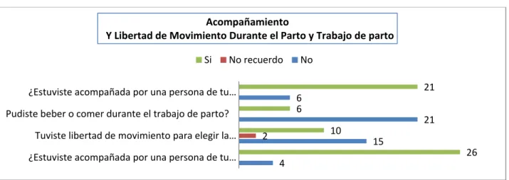 Gráfico Nº11: 