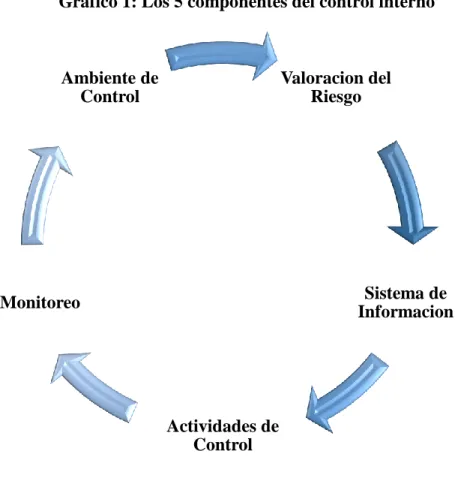 Gráfico 1: Los 5 componentes del control interno 