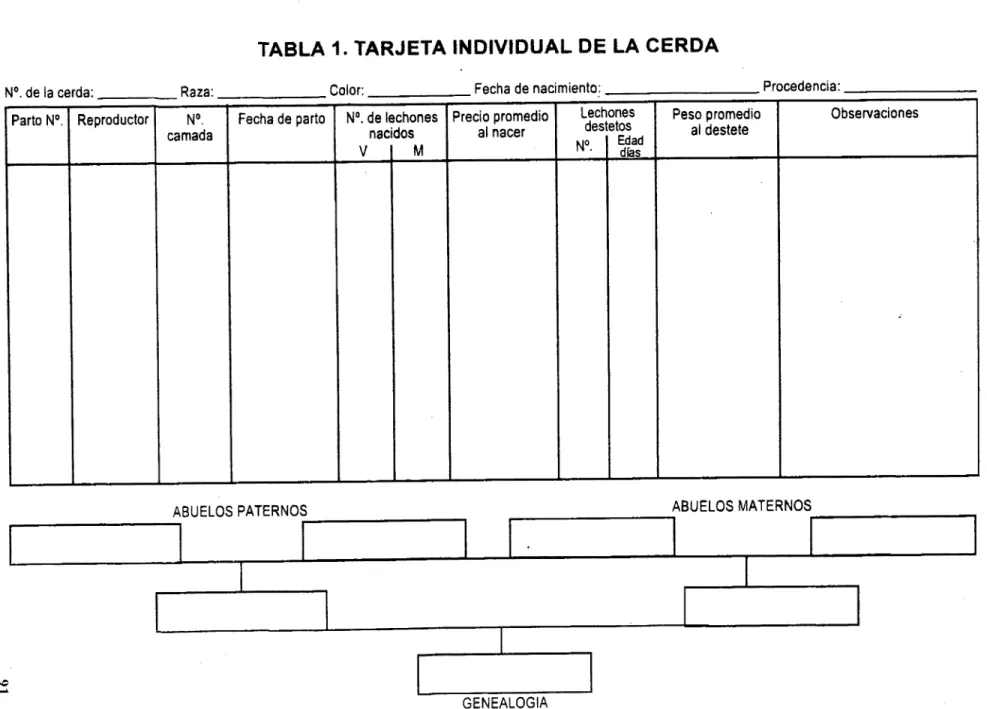 TABLA 1. TARJETA INDIVIDUAL DE LA CERDA