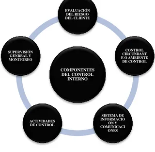 Gráfico N° 2: Componentes del control interno. 