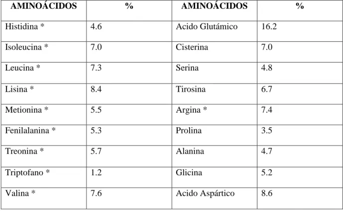 TABLA 3. PERIFIL DE AA: % AA/100g DE PROTEÍNA DE QUINUA 