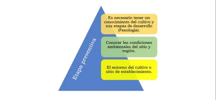 Figura 14. La prevención integral, parte fundamental del MIP. Esquema: Arturo Carabalí Muñoz.