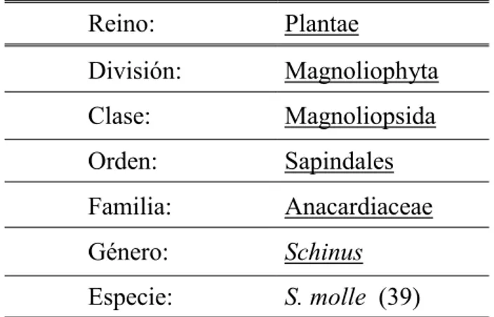 TABLA No 2 . CLASIFICACIÓN CIENTÍFICA DEL MOLLE 