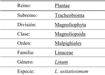 TABLA No 3. CLASIFICACIÓN CIENTÍFICA DE LA LINAZA 