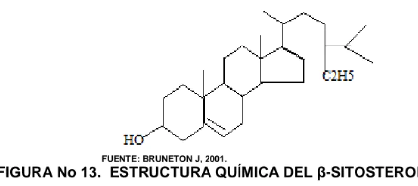 FIGURA No 13.  ESTRUCTURA QUÍMICA DEL β-SITOSTEROL. 