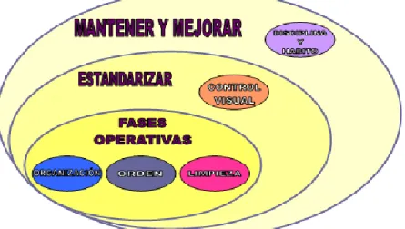 Figura No. 3 Fases del programa 5 S. 