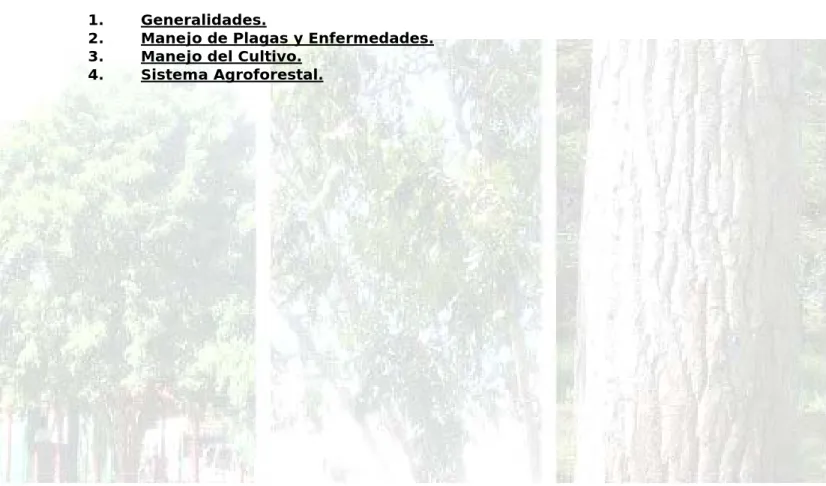 TABLA DE CONTENIDO 