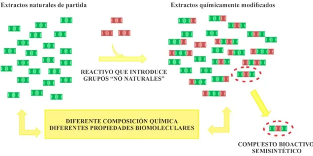 Figura  1.  Diversificación  química  de  mezclas  complejas  naturales  como  fuente  de  nuevos  compuestos  bioactivos