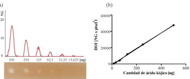 Figura 13. (a) Densidad óptica para cada siembra en punto de ácido kójico medidos utilizando el programa Gel- Gel-Pro Analyzer .y (b) Gráfico de regresión lineal para la obtención de las respuestas K y UD