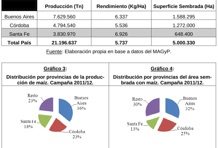 Gráfico 4:  