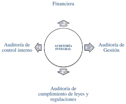 Gráfico 6: Componentes de la Auditoría Integral 