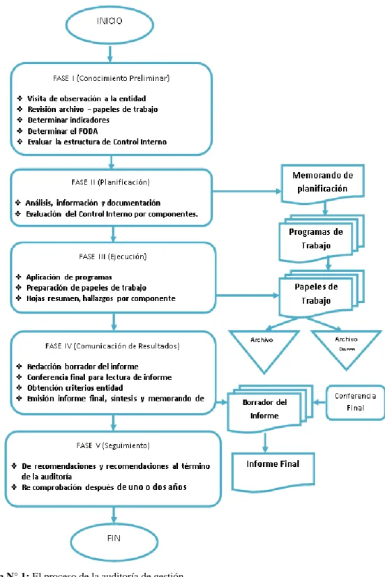 Figura N° 1: El proceso de la auditoría de gestión. 