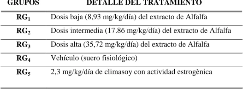 TABLA No 4.   DEFINICIONES DE LOS GRUPOS 
