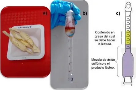 Figura 2.3.8: Método de Gerber. a) Muestras de queso envueltas en papel absorbente. 