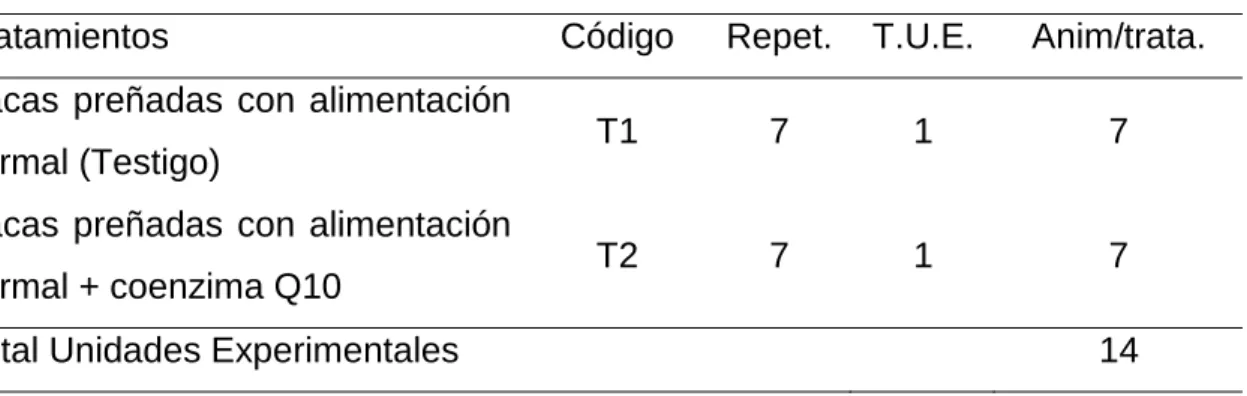 Cuadro 2.  ESQUEMA DEL EXPERIMENTO 