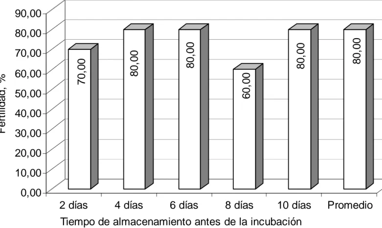 Gráfico 5.  Mortalidad  embrionaria  (%)  en  huevos  de  avestruz  por  efecto  de  diferentes tiempos de almacenamiento antes de la incubación (2, 4,  6, 8 y 10 días) 