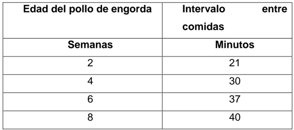 CUADRO 7.  INTERVALO ENTRE COMIDAS 