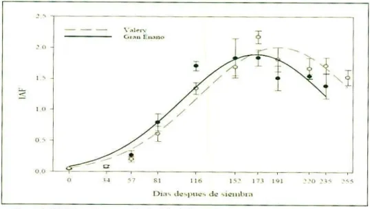Figura 6. PAF foliar en banano Culiivariedades Vner y y Gran enano (Martinez, 2OO6