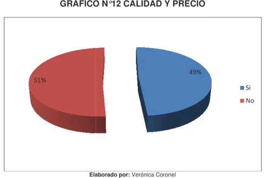 GRÁFICO N°12