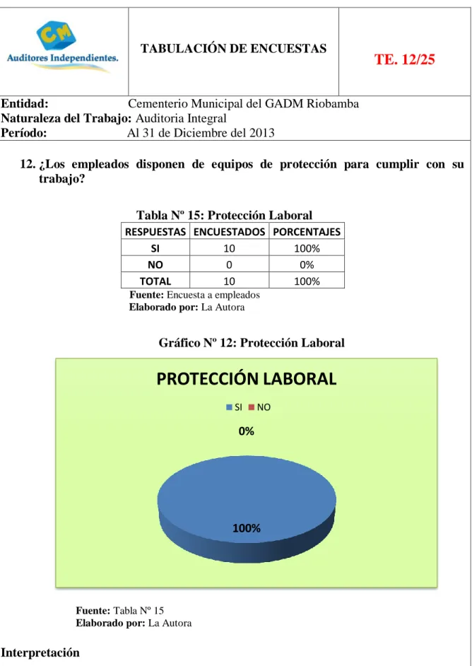 Gráfico Nº 12: Protección Laboral 