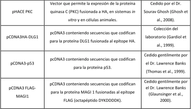 Tabla 3.1: Cepas bacterianas y vectores. 
