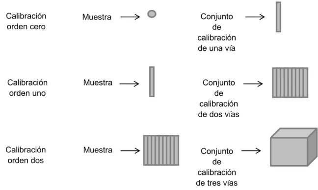Figura 1. Representación esquemática de la estructura de los datos de la muestra y del  conjunto de calibración según el orden