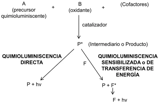 Figura  3.  Tipos  de  reacciones  en  quimioluminiscencia  (P:  producto;  F:  sustancia  fluorescente)