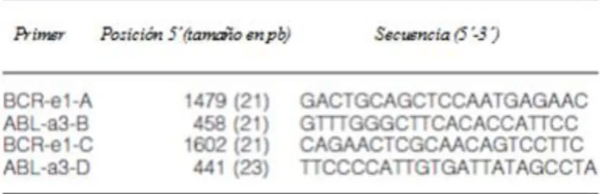Tabla II.1.Primers para análisis por RT-PCR de t(9;22)(q34;q11) con el gen   de fusión BCR-ABL1 p190 e1-a2