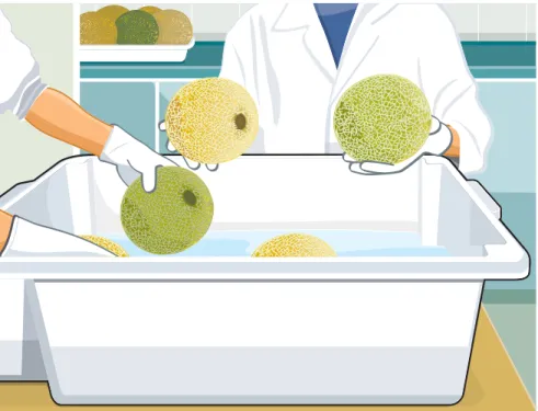 Fig. 3. Sanitização das frutas em solução de cloro (durante 10 minutos).