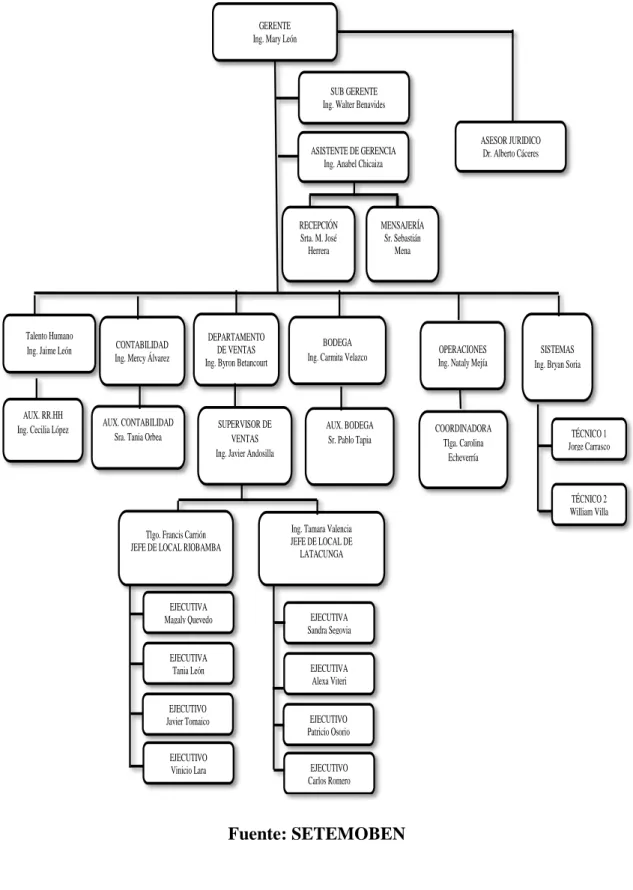 Gráfico 18. Organigrama estructural “SETEMOBEN” 