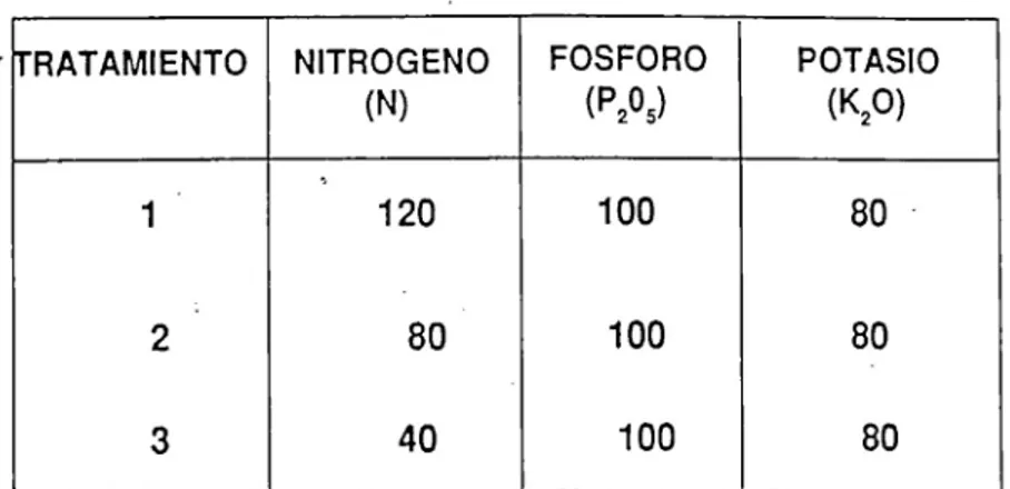 TABLA  2.  Tratamlentos  de  fertllizacl6n  (kg/ha)  para  la  produccl6n  de  maiz  en  una  pastura  asoclada  de  B