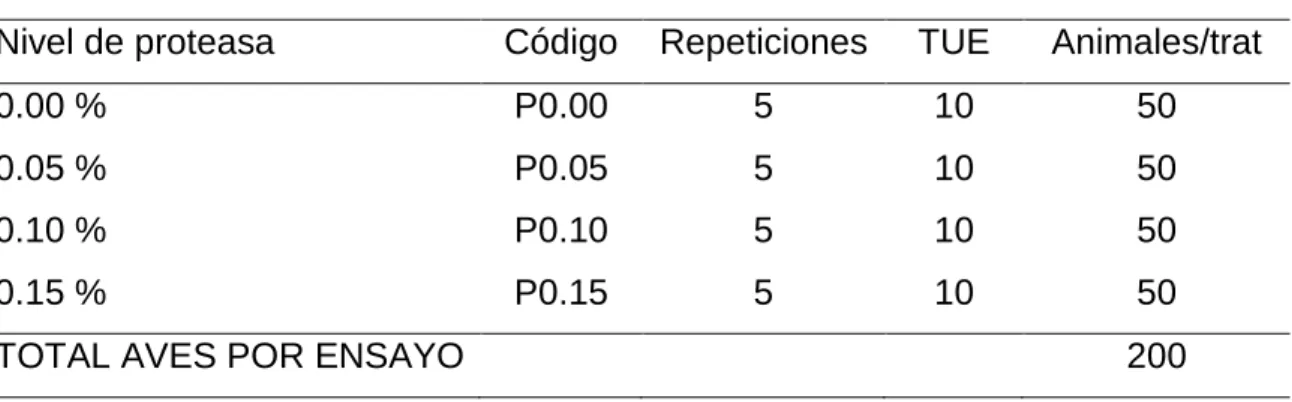 Cuadro 10.  ESQUEMA DEL EXPERIMENTO 