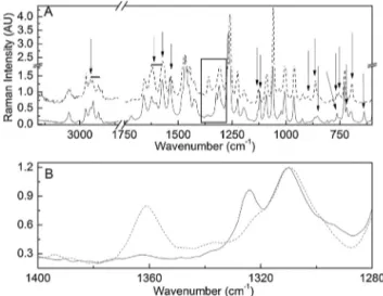 Fig. 2. (A) DSC thermograms of Form I (—) and Form II (—) of ALB. (B) ATR-FTIR spectra of Forms I (—) and II (—) of ALB in the 3700–600 cm −1 region.