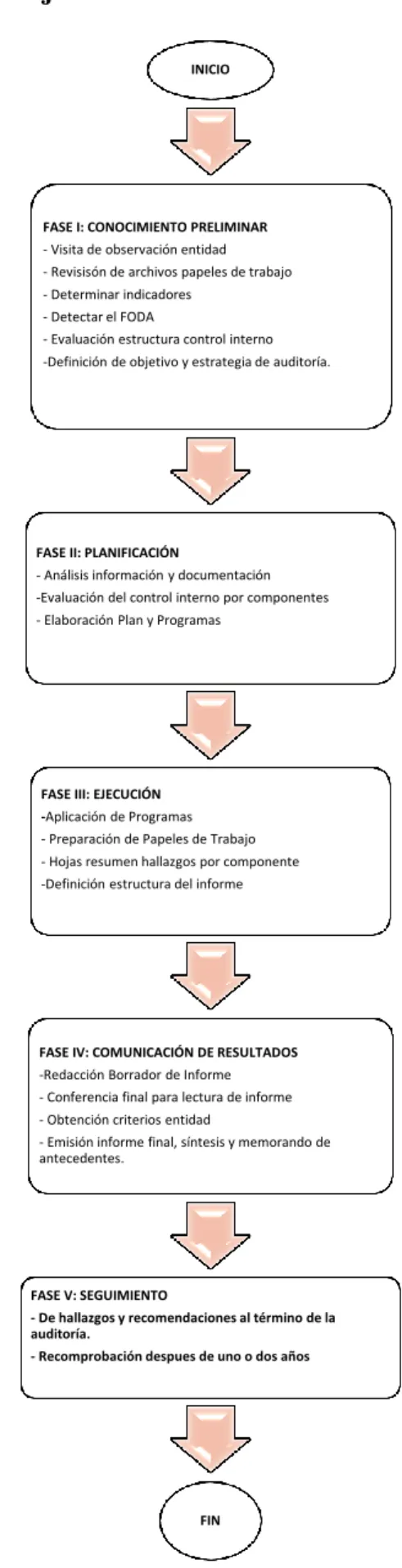 Gráfico 1: Flujo del Proceso de la Auditoría de Gestión    