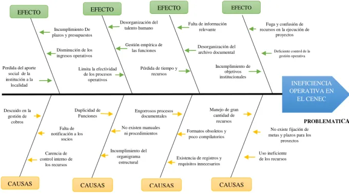 Ilustración 1: Espina Causa-Efecto
