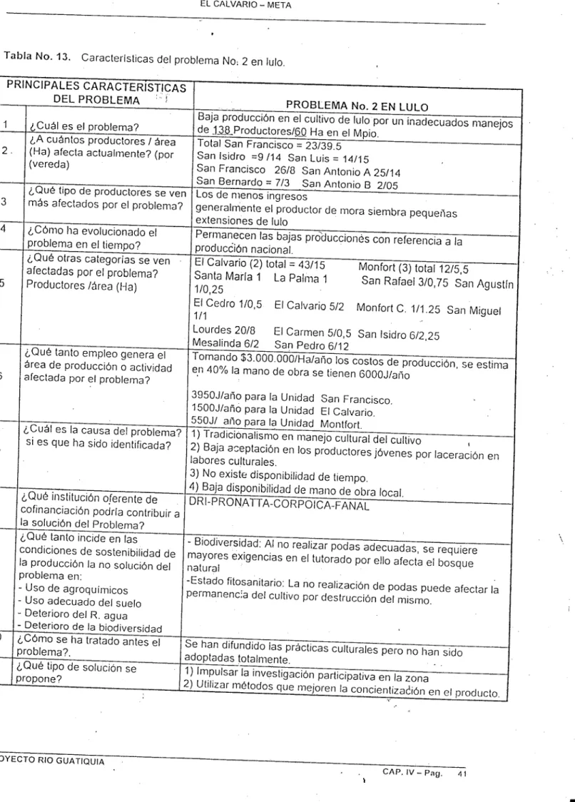 Tabla No. 13. Características del problema No: 2 en lulo.