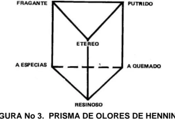 FIGURA No 3.  PRISMA DE OLORES DE HENNING 