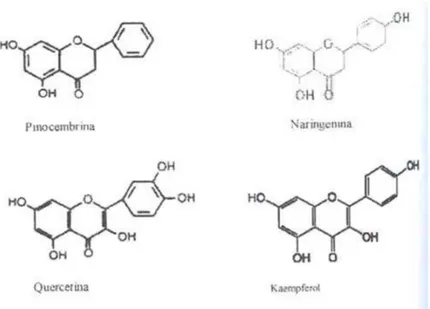 FIGURA  N°  2  ESTRUCTURA  QUÍMICA  DE  LOS  PRINCIPALES  FLAVONOIDES  EN  ORÉGANO 