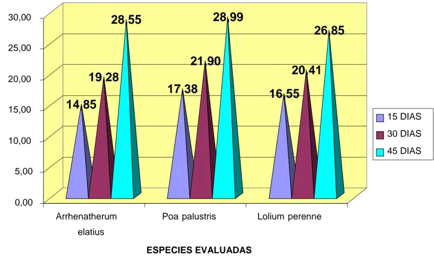 Gráfico 2.   Porcentaje de cobertura basal del Arrhenatherum elatius, Poa palustris y Lolium perenne a los 15, 30 y 45 días  primera evaluación